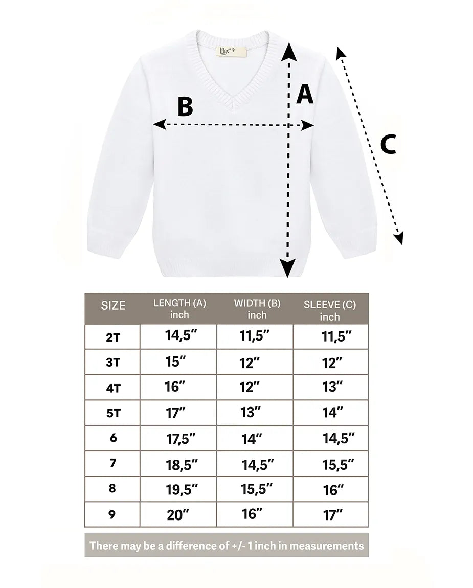 Toddler & Little Boys Classic V-Neck Knit Sweater