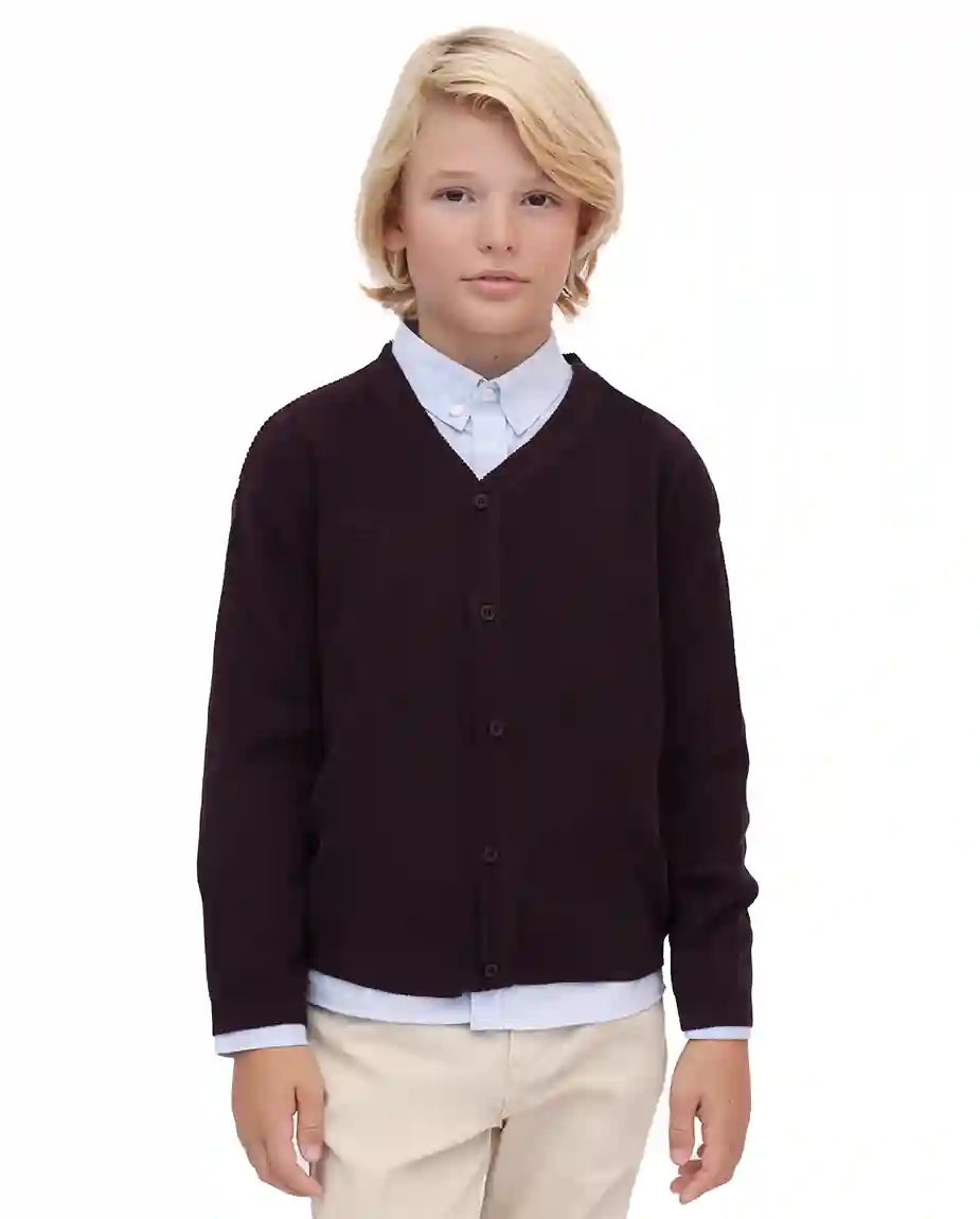 Little Boys Basic Long Sleeve V-Neck Classic Knit Cardigan Sweater