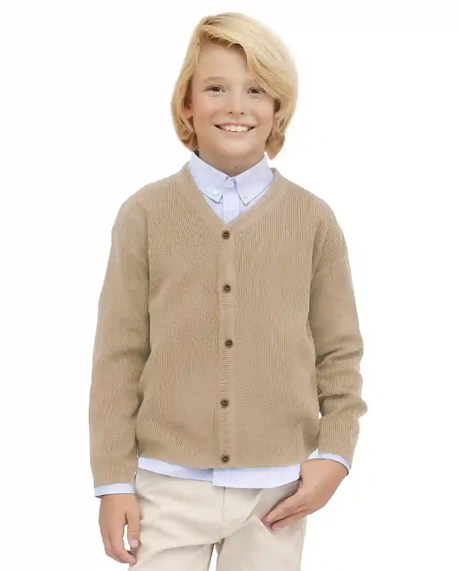 Little Boys Basic Long Sleeve V-Neck Classic Knit Cardigan Sweater