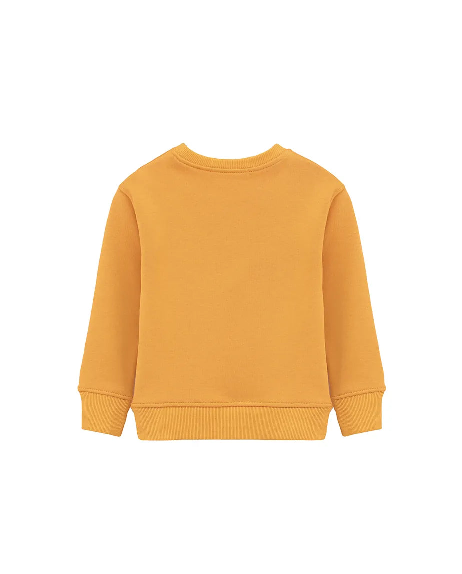 Boys Basic Crewneck Long Sleeve Cotton Sweatshirt
