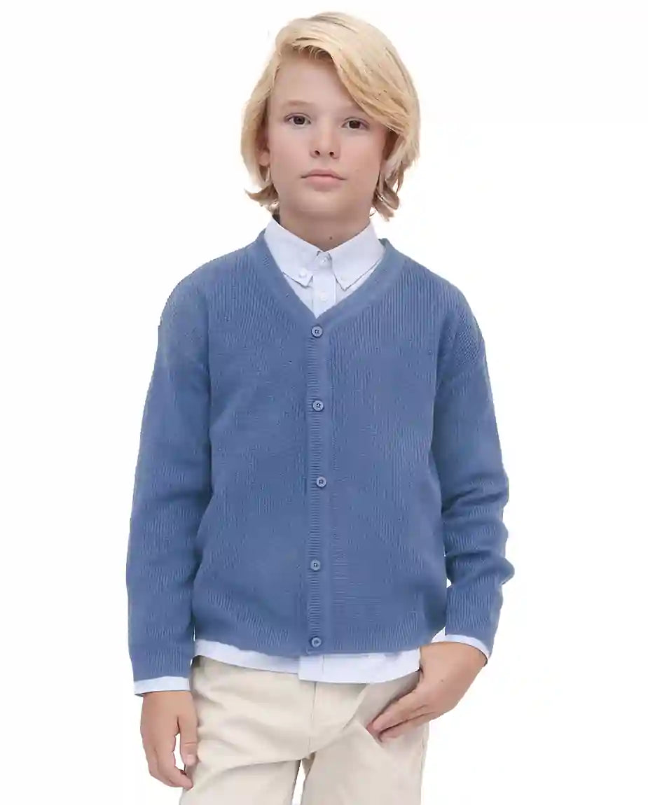 Little Boys Basic Long Sleeve V-Neck Classic Knit Cardigan Sweater
