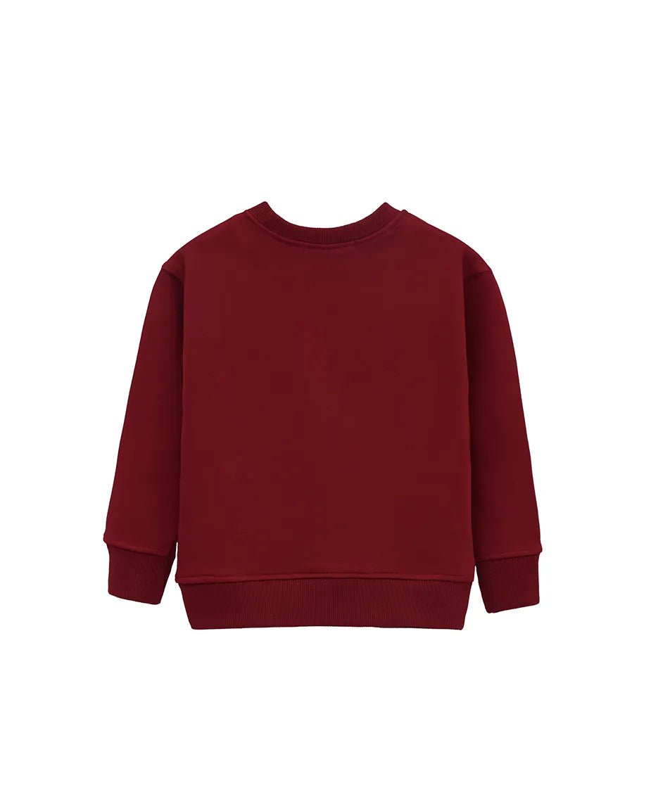Boys Basic Crewneck Long Sleeve Cotton Sweatshirt