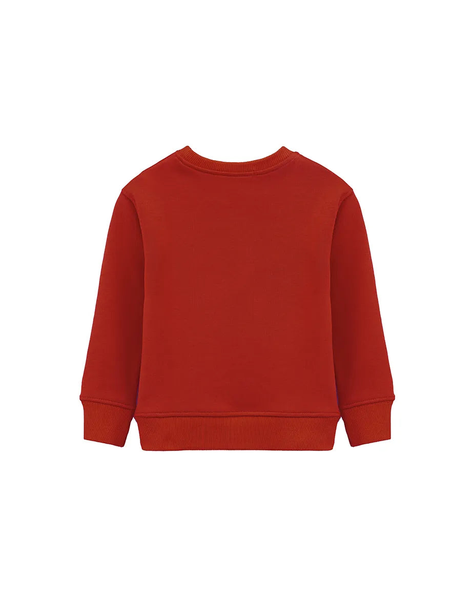 Boys Basic Crewneck Long Sleeve Cotton Sweatshirt
