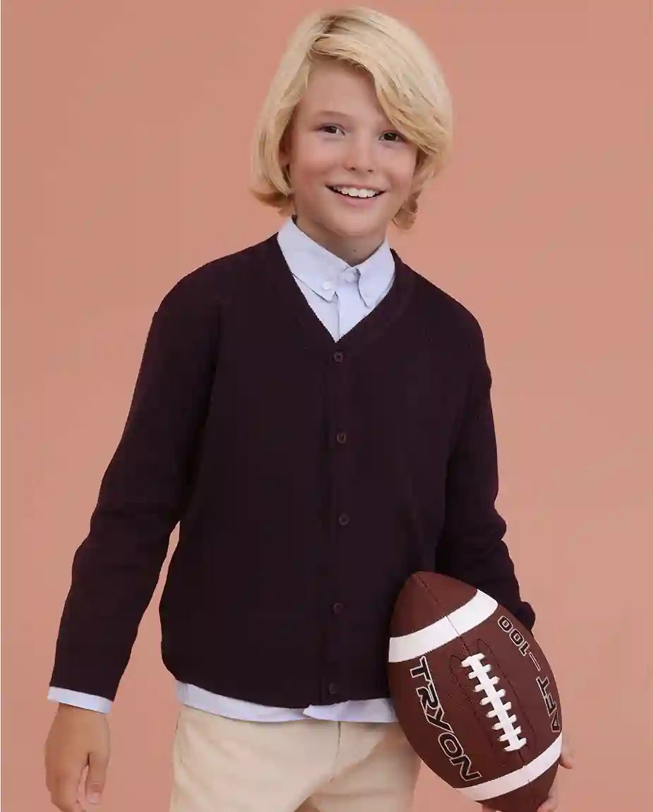 Little Boys Basic Long Sleeve V-Neck Classic Knit Cardigan Sweater