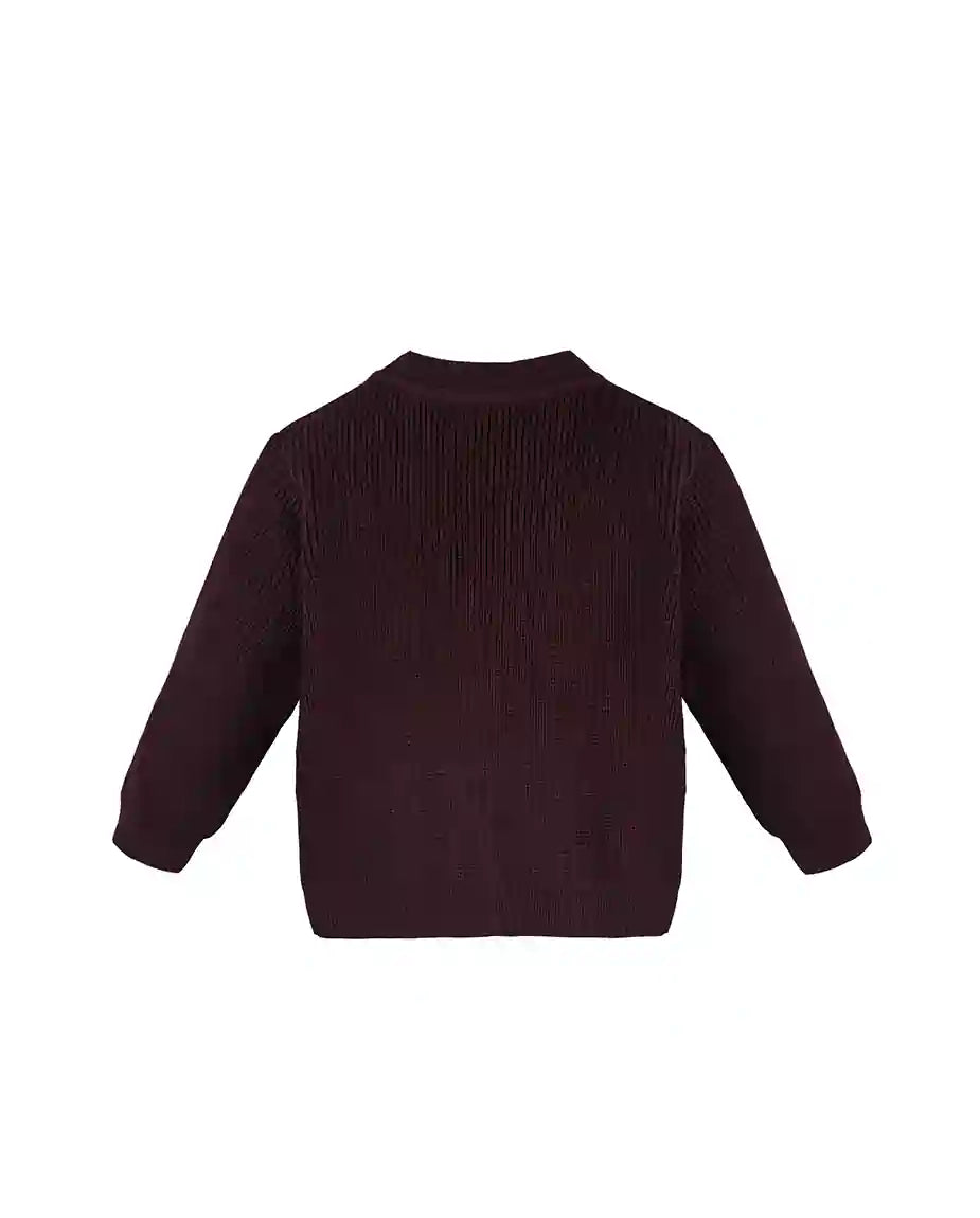 Little Boys Basic Long Sleeve V-Neck Classic Knit Cardigan Sweater