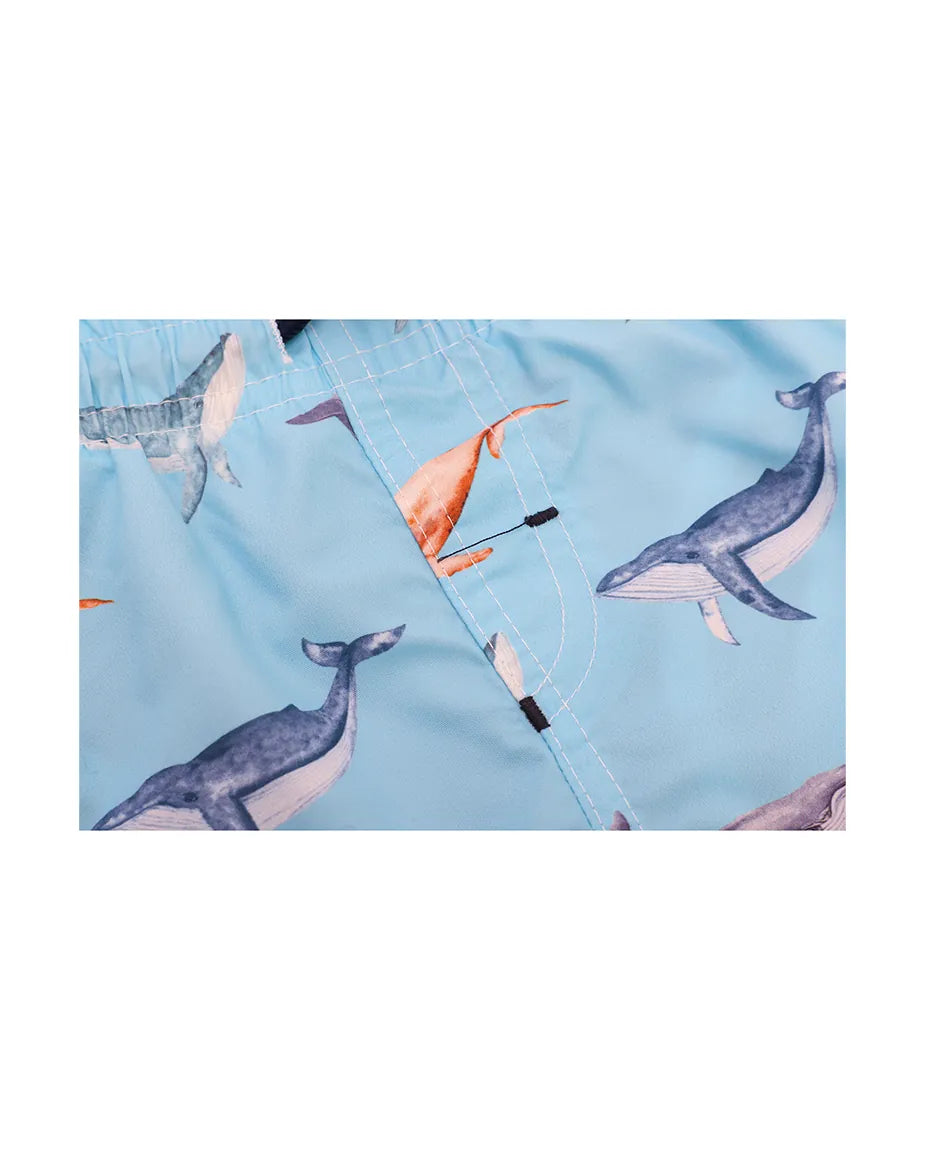 Boys & Toddler Swimsuit Swim Short