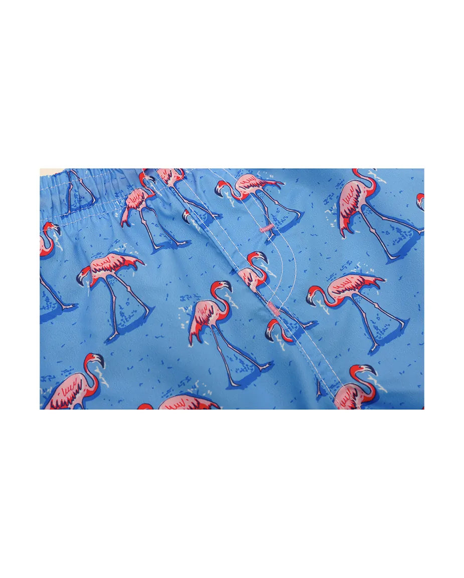 Boys & Toddler Swimsuit Swim Short