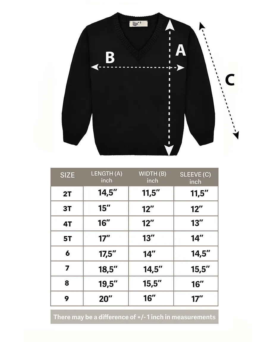Toddler & Little Boys Classic V-Neck Knit Sweater