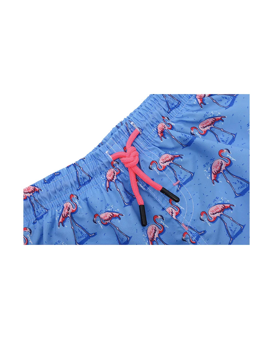 Boys & Toddler Swimsuit Swim Short