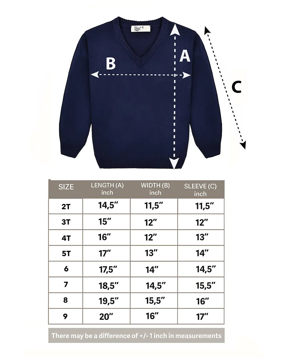 Toddler & Little Boys Classic V-Neck Knit Sweater