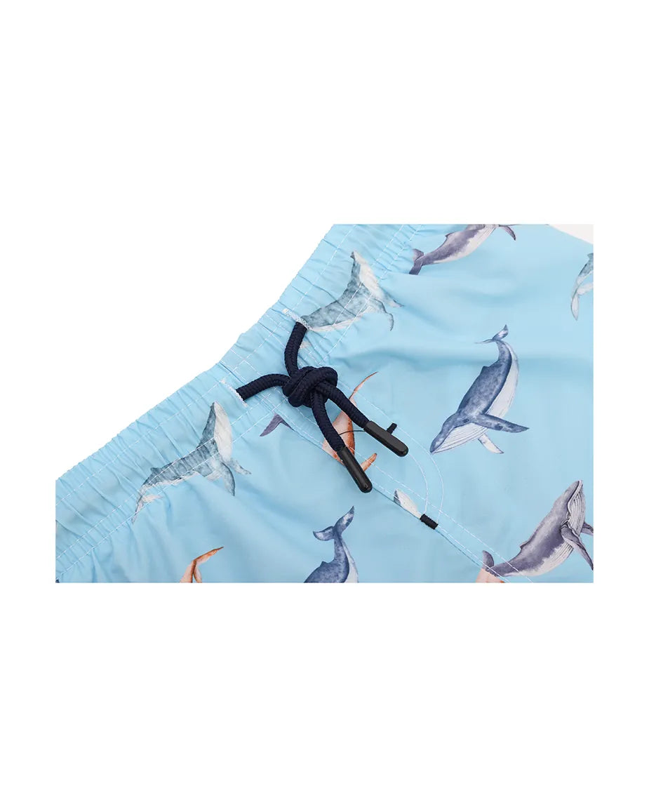 Boys & Toddler Swimsuit Swim Short