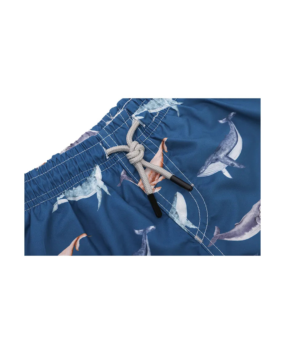 Boys & Toddler Swimsuit Swim Short