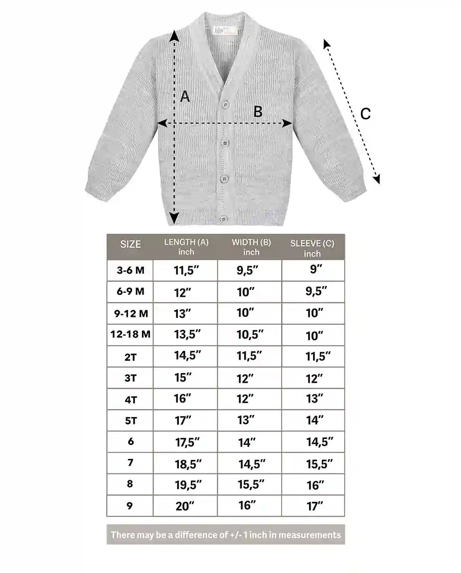 Little Boys Basic Long Sleeve V-Neck Classic Knit Cardigan Sweater