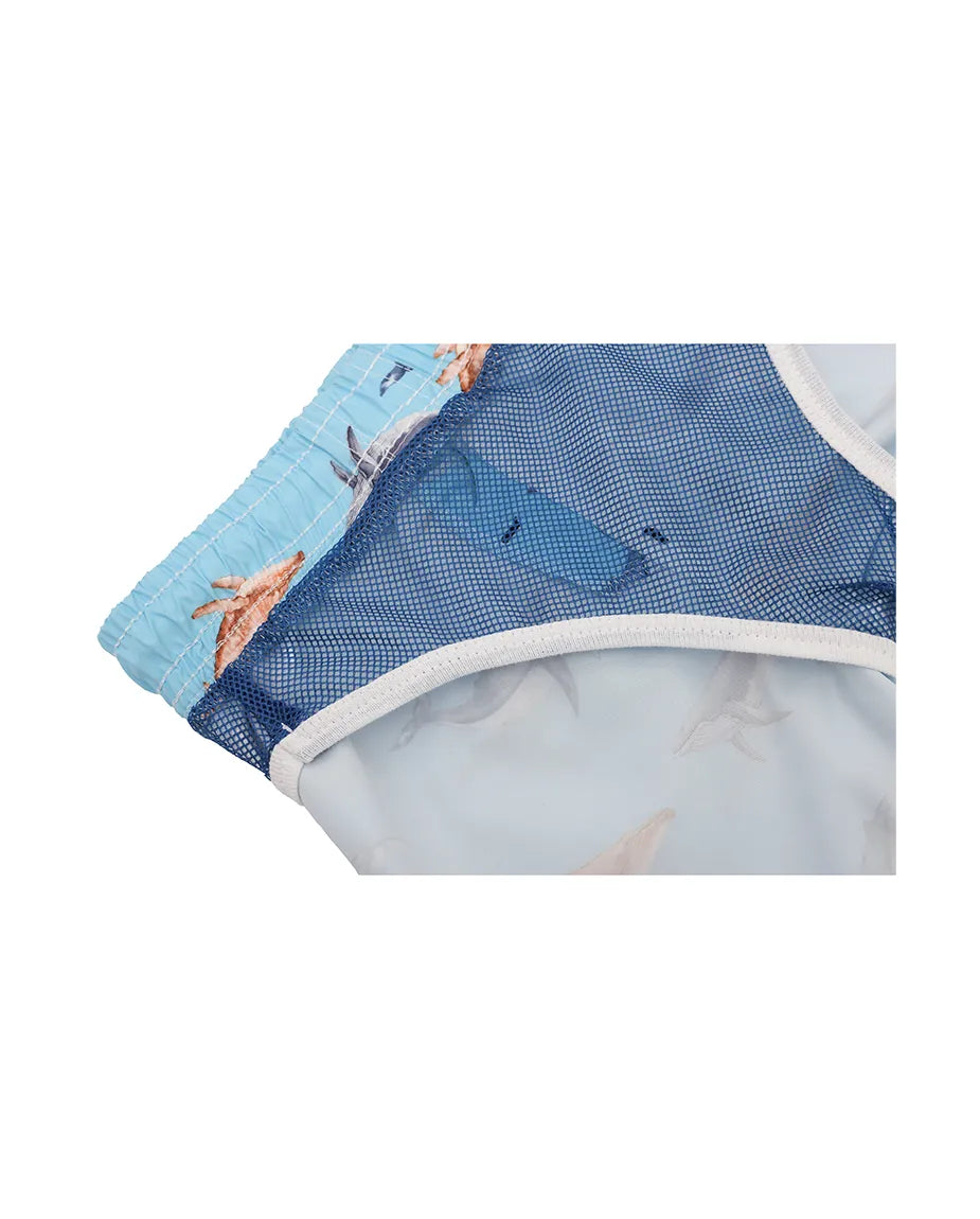 Boys & Toddler Swimsuit Swim Short
