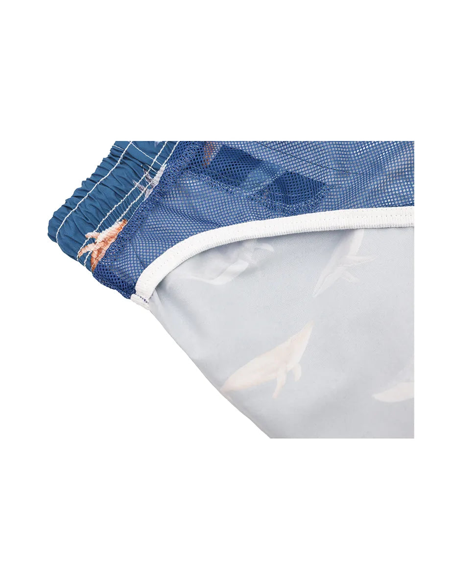 Boys & Toddler Swimsuit Swim Short