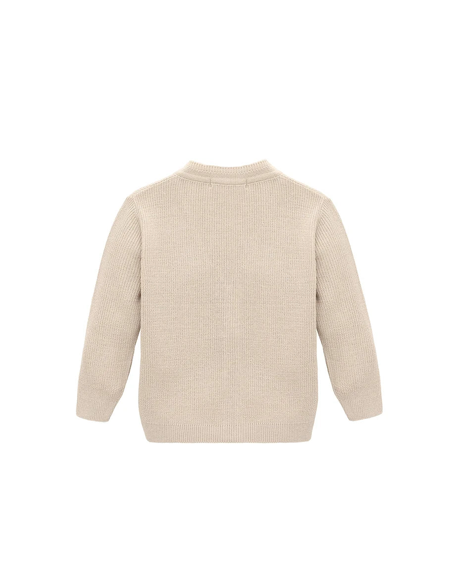 Little Boys Basic Long Sleeve V-Neck Classic Knit Cardigan Sweater