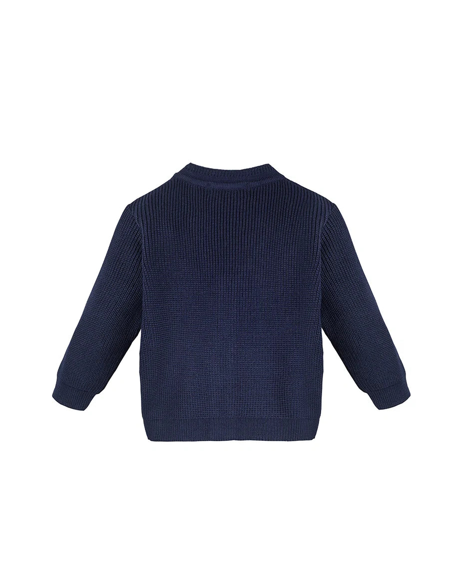 Little Boys Basic Long Sleeve V-Neck Classic Knit Cardigan Sweater